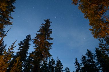 Dağların güzel gece manzarası
