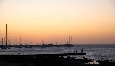 Punta del Este, Maldonado, Uruguay limanında dramatik bir gün batımının üzerinde uçan bir martı manzarası