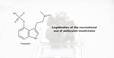 Psilosibin mantarlarının eğlence amaçlı kullanımının yasallaştırılması, psilosibin ve insan vücudu üzerindeki etkisi