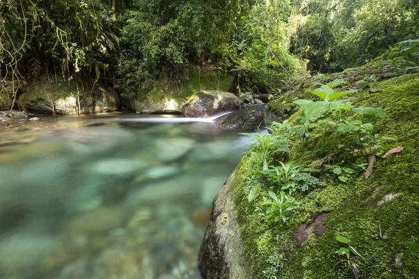 Belo Rio Cristalino Com Água Azul Paisagem Verde Floresta Tropical — Fotografia de Stock