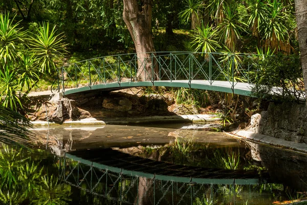 Lizbon Portekiz Merkezindeki Tropik Botanik Bahçesi — Stok fotoğraf