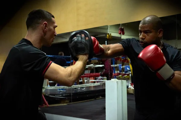 Determined Male Boxers Practicing Health Club — Stock Photo, Image