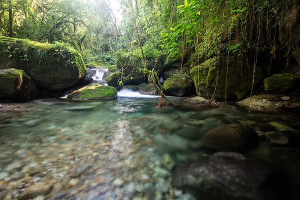 巴西里约热内卢山区塞林哈生态保护区 美丽的水晶清澈的河流 碧水碧绿的热带雨林景观 — 图库照片