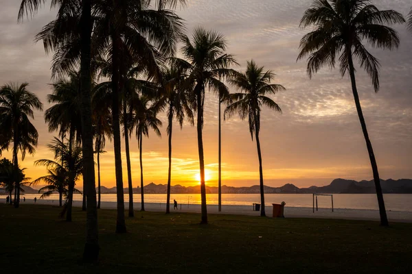 Beautiful view to yellow sun rising on city beach with palm trees, Aterro do Flamengo, Rio de Janeiro, Brazil