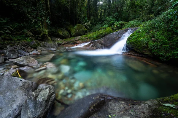 Belo Rio Mata Atlântica Com Piscina Água Cristalina Azul Sobre — Fotografia de Stock