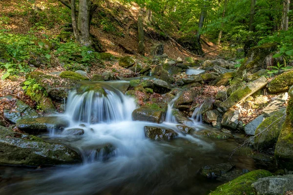 Córrego Montanha Que Flui Através Uma Paisagem Uma Floresta Densa — Fotografia de Stock