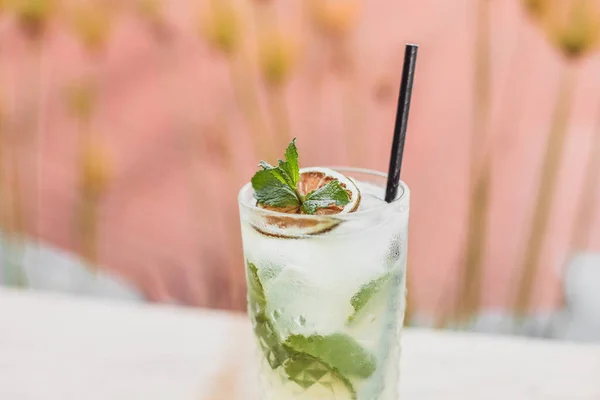 Summer Drink Fresh Mint Ice — стоковое фото