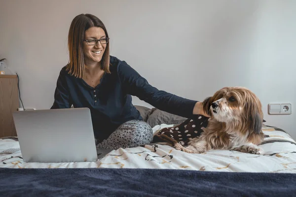 Девушка Использует Ноутбук Лежа Постели Рядом Своей Верной Собакой — стоковое фото