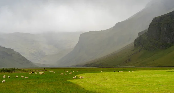 Prachtig Landschap Van Bergen — Stockfoto