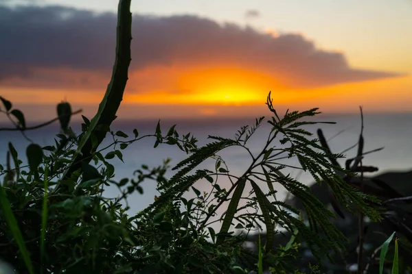 Schöner Sonnenuntergang Auf Dem Feld — Stockfoto