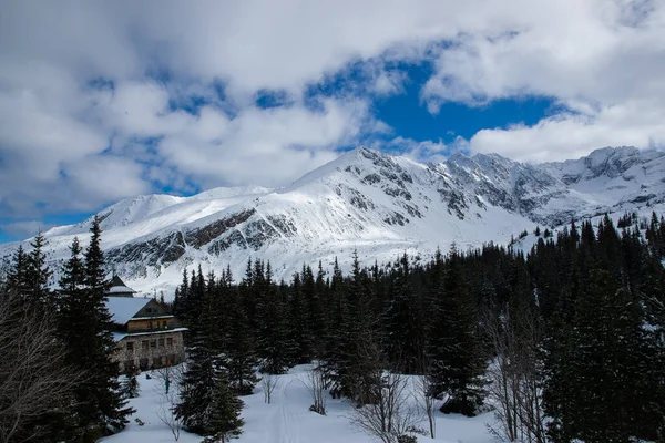 Vista Cima Las Montañas Zona Zakopane Polonia Cubierta Nieve Fresca —  Fotos de Stock