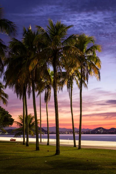 해변에는 구름과야자 나무들이 태양을 바라보는 아름다운 브라질 리오데자네이로 아라우두 플라멩고 — 스톡 사진