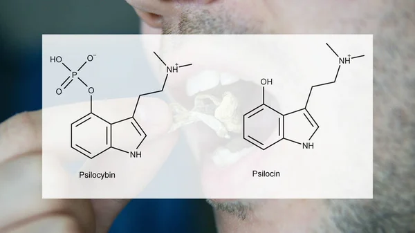 사람들의 정신적 신체적 건강에 미치는 실로시빈과 시신의 의학적 실로시빈 버섯의 — 스톡 사진