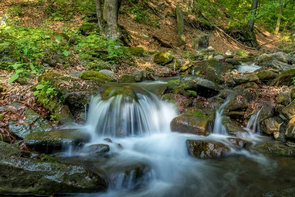 Górski Potok Płynący Przez Krajobraz Gęstym Lesie Uchwycony Przez Długi — Zdjęcie stockowe