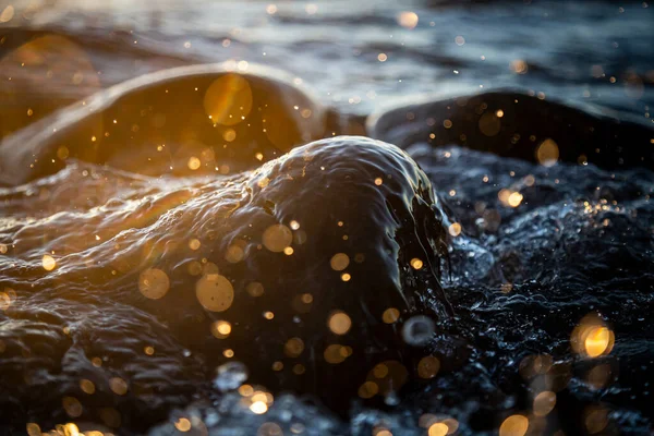 湿った海岸石の上での波のブレーキの閉鎖写真夏の日没 水の飛沫 太陽光線 水滴への反射 — ストック写真