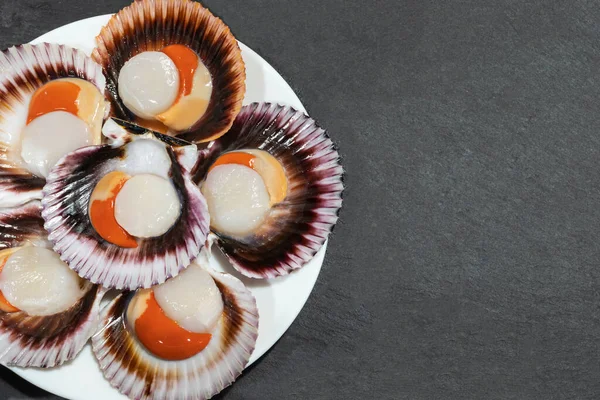 Plato Blanco Grandes Vieiras Frescas Crudas Con Caviar Naranja Conchas —  Fotos de Stock