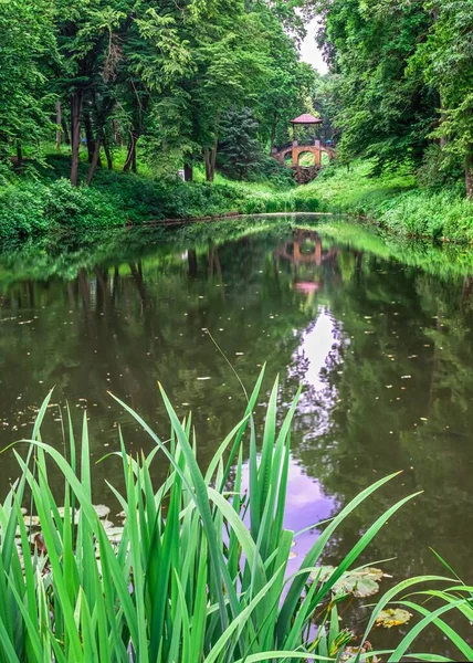 Bila Tserkva Ucrania 2020 Parque Alejandría Bila Tserkva Uno Los — Foto de Stock