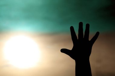 Bir palmiye ağacının bulanık arka planını tutan el.