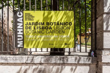 Lizbon, Portekiz 'in merkezindeki Tropik Botanik Bahçesi