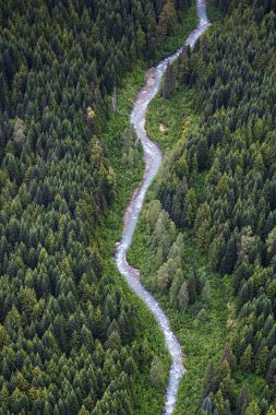 Whistler Blackcomb Kayak Tatil Köyü 'ndeki kozalaklı ağaçlarla yeşil ormandan akan dar nehrin drone görüntüsü