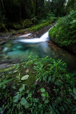 Vahşi yeşil arazi üzerinde mavi kristal berrak su havuzu olan güzel Atlantik yağmur ormanı nehri, Serrinha do Alambari, Serra da Mantiqueira, Rio de Janeiro, Brezilya