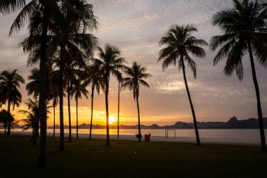Palmiye ağaçları, Aterro do Flamengo, Rio de Janeiro, Brezilya plajında doğan sarı güneşe güzel bir manzara
