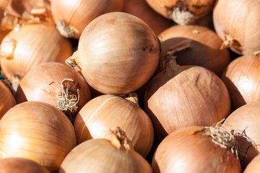 Los Angeles 'taki bir pazarda sarı soğan..