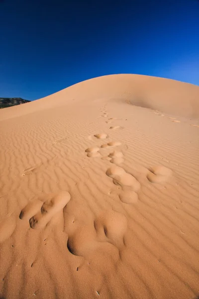 Dune Sabbia Nel Deserto Sullo Sfondo Della Natura — Foto Stock