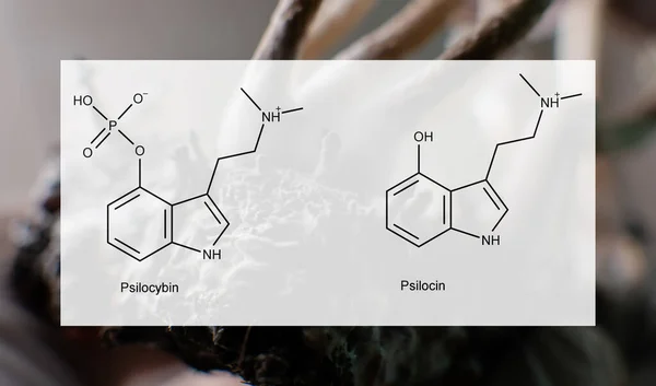Los Efectos Médicos Psilocibina Psilocina Salud Psicológica Física Las Personas —  Fotos de Stock