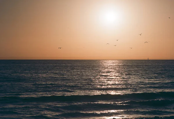 Moody Pomarańczowy Zachód Słońca Nad Błękitnym Oceanem Ptakami Żaglami — Zdjęcie stockowe
