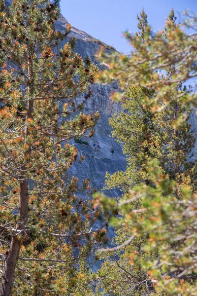 Ağaçlar Dağlarla Dolu Sonbahar Manzarası — Stok fotoğraf