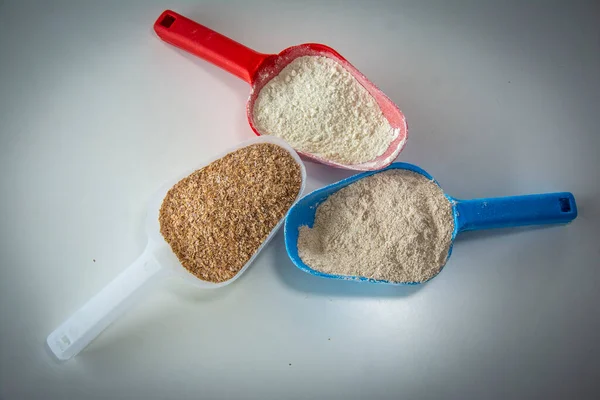 小麦粉の異なるタイプのシェル — ストック写真