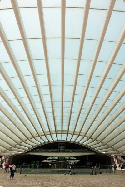 Hermosa Vista Moderna Estación Tren Oriente Zona Parque Das Nacoes — Foto de Stock