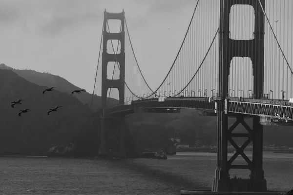 San Francisco Şehrinin Siyah Beyaz Görüntüsü — Stok fotoğraf