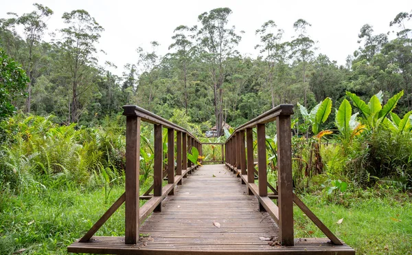 Prachtige Houten Brug Midden Jungle — Stockfoto