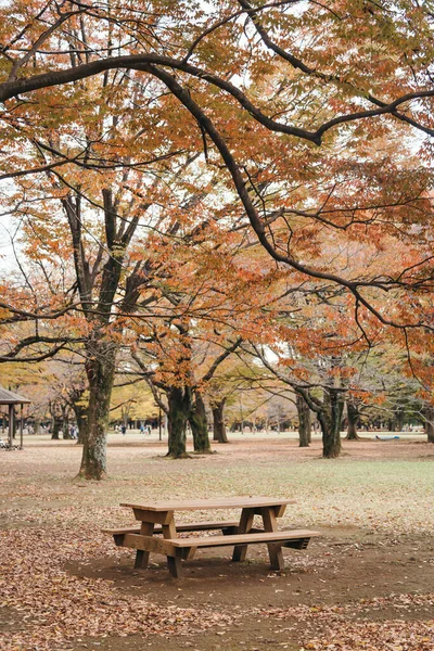 Herfstpark Stad — Stockfoto