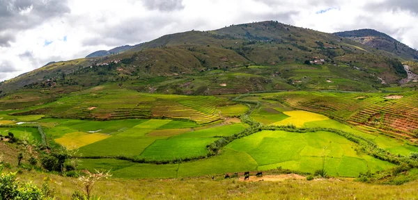 Panorama Île Madagascar — Photo