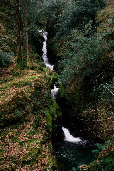 Beautiful Waterfall Forest Nature Background — Stock Photo, Image