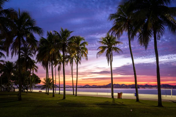 Prachtig Uitzicht Zonsopgang Met Kleurrijke Wolken Palmbomen Het Stadsstrand Aterro — Stockfoto