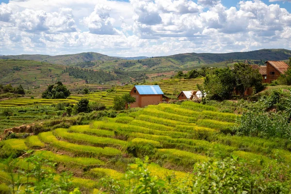 Helyi Lakosok Otthona Madagaszkár Szigetén — Stock Fotó