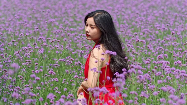 Portrait Young Chinese Girl Red Dress Verbena Flowers Field — Fotografia de Stock