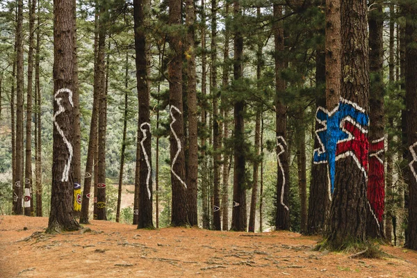 Oma forest in Kortezubi (Basque country, Spain). Artistic work of the painter Agustn Ibarrola in nature.