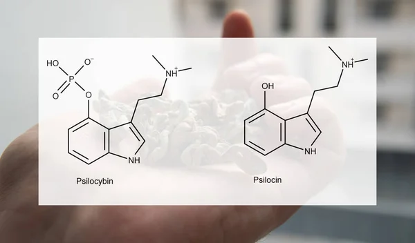 Die Medizinischen Auswirkungen Von Psilocybin Und Psilocin Auf Die Psychische — Stockfoto