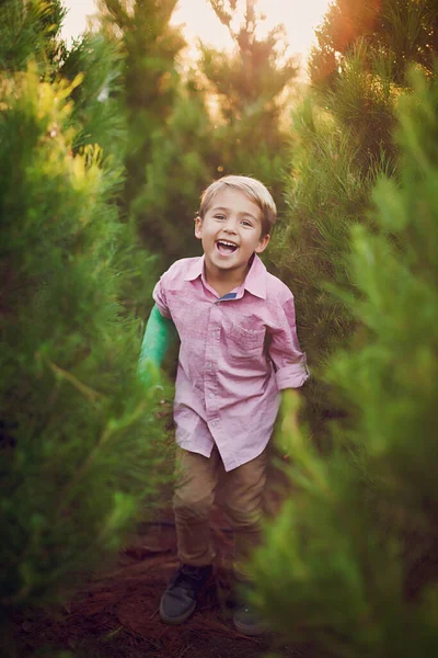 Αγόρι Κοιτάζοντας Την Κάμερα Μια Σειρά Από Δέντρα Μια Φάρμα — Φωτογραφία Αρχείου