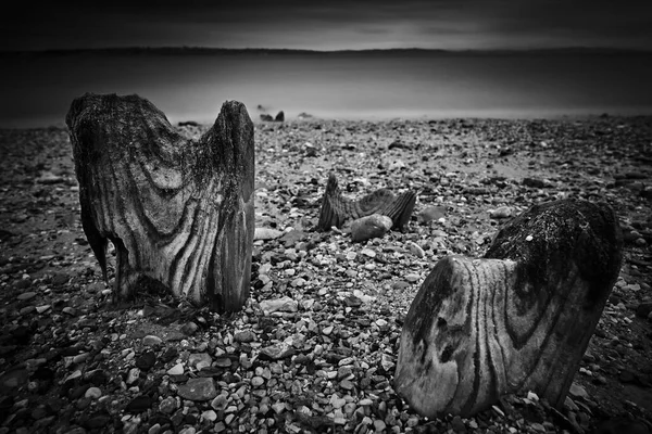 Black White Photo Cemetery Desert — Stockfoto