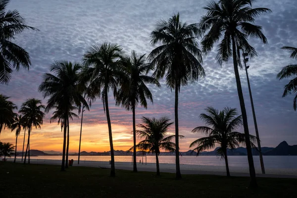 Beautiful view to the sun rising with colorful clouds and palm trees on city beach, Aterro do Flamengo, Rio de Janeiro, Brazil