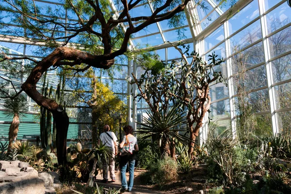 Visitors Discovering Plant Life Brooklyn Desert Conservatory — Stock Photo, Image