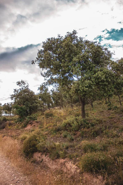 Bella Vista Sulla Natura — Foto Stock