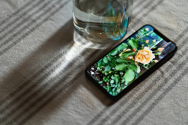 Smartphone Exibindo Fotografia Uma Rosa Amarela Senta Mesa Lado Copo — Fotografia de Stock