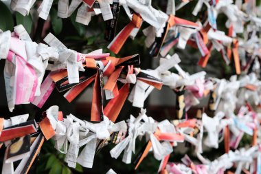 Tokyo, Japonya 'da yerel bir tapınakta katlanmış O-mikuji (servet)